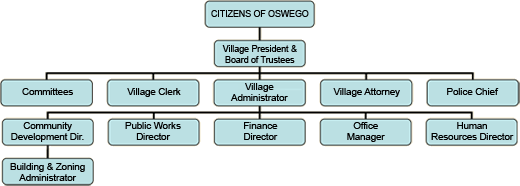 Oswego Government Structure 